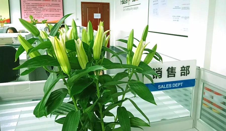 濃情七夕，最美祝福！