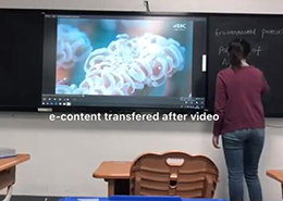 板書教學記憶91视频免费版下载課堂實用操作